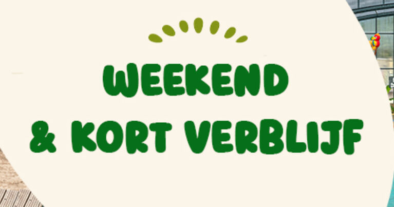 Zin in een break?